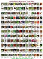 All Kind of Natural and Ayurvedic Herbs