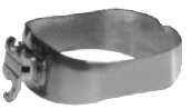 orthodontic bands