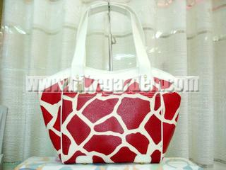 New arrival Coach bag