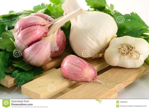 Garlic