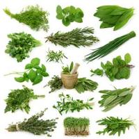 All Kind Of Natural herb,medicinal Herb,herbal Extract,Aromatic herb,Ayurvedic Herb