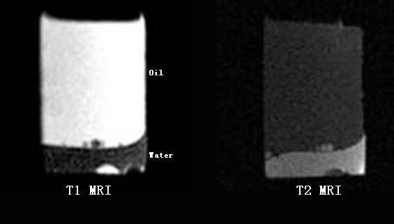 Benchtop MRI Education