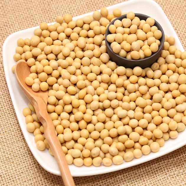 Non-GMO Dried Yellow Soybean
