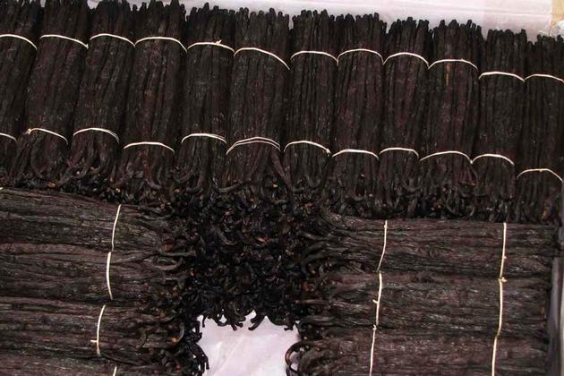 vanilla beans wholesale
