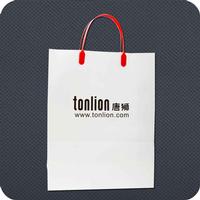 Kraft Paper Bag with Rigid Handle