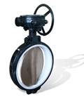 Butterfly valve