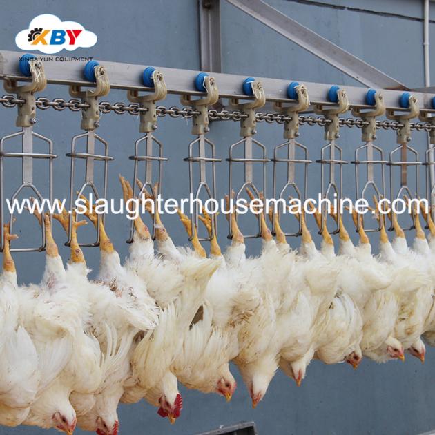 Complete Poultry Slaughtering Line For Slaughterhouse