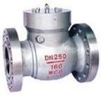 Check valve