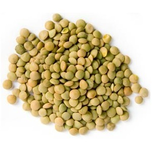 LENTILS