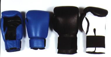 BOXING & SPARRING GLOVES