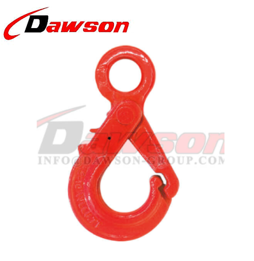 DS770 G80 Eye Self-locking Hook