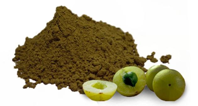 AMLA EXTRACT 40% Extract (EMBLICA OFFICINALIS) 