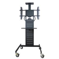 Mobile TV Stand