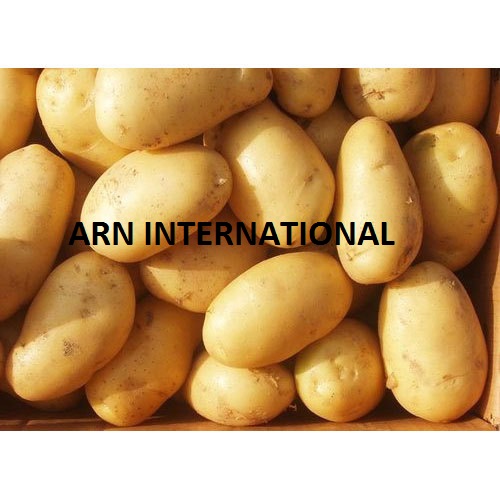 Fresh Potato