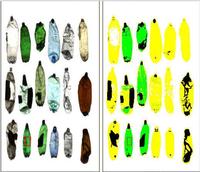 color sorting machine from US     