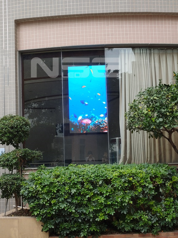 Shop Window LED Display