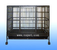 dog cage