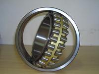 N204,N2204,N2304,N1005,N205,N2205,N305,N2305,N405,N1006,N206,N2206,N306 Cylindrical Roller Bearings
