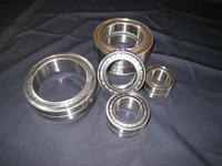 SL045004X,SL045006X,SL045010X,SL045012X.SL045014X,SL045015X  Cylindrical Roller Bearings