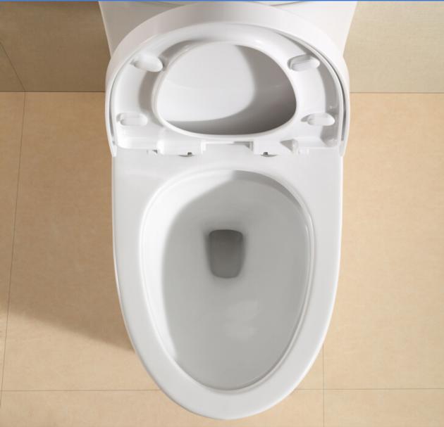 BARANA One Piece Toilet B8158