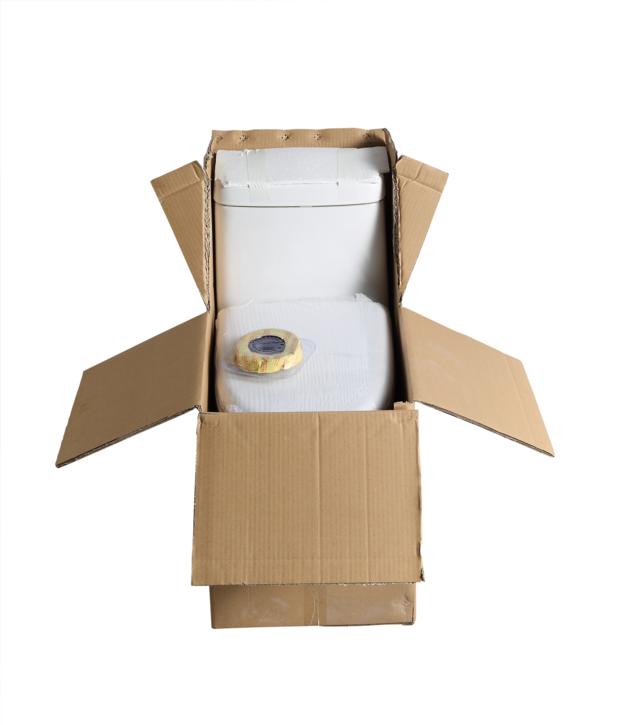 BARANA One Piece Toilet B8158