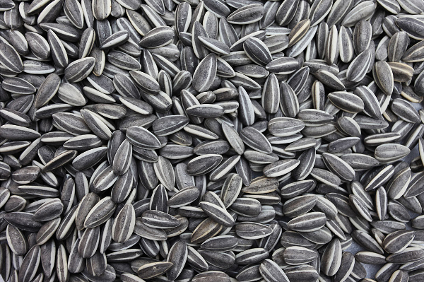 SUNFLOWER SEEDS
