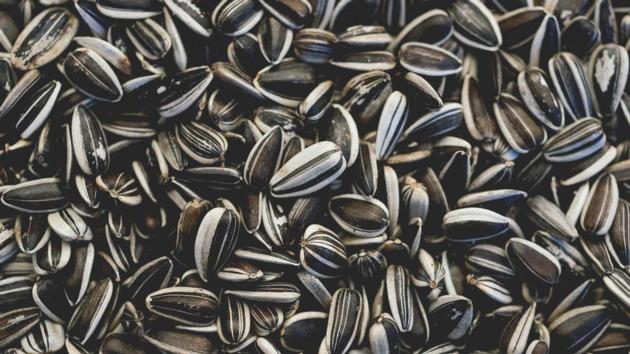 SUNFLOWER SEEDS
