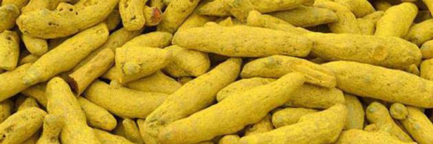 TURMERIC FINGER