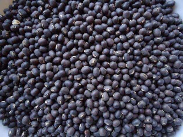 BLACK MATPE