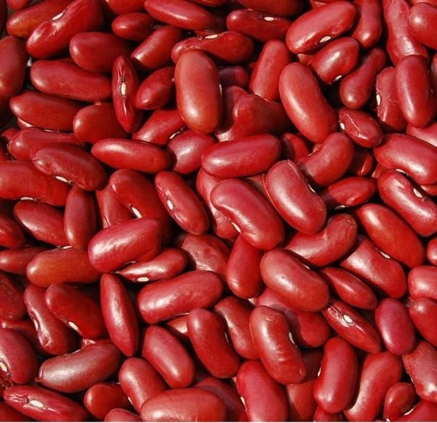 RED KIDNEY BEANS