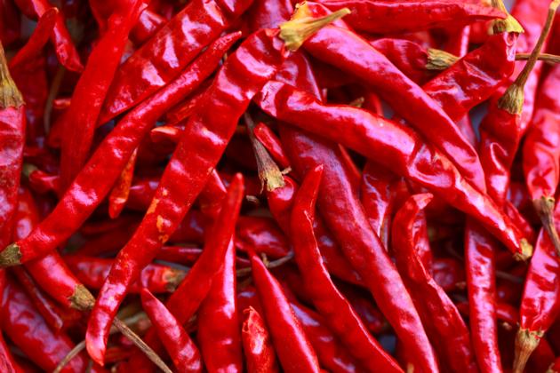 DRY RED CHILIES