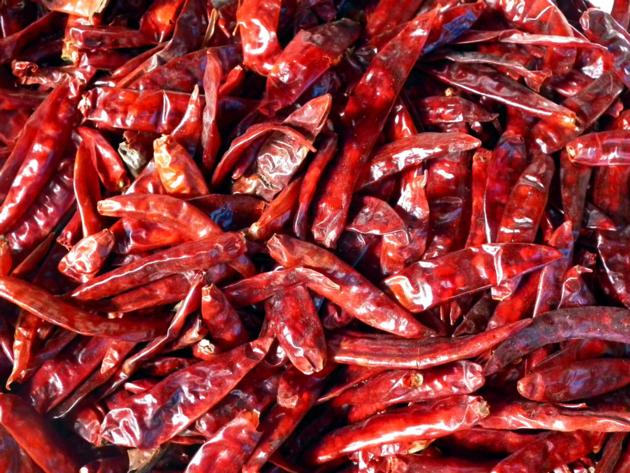 DRY RED CHILIES