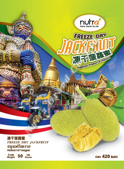 Freeze Dry Jackfruit 50g OEM 07