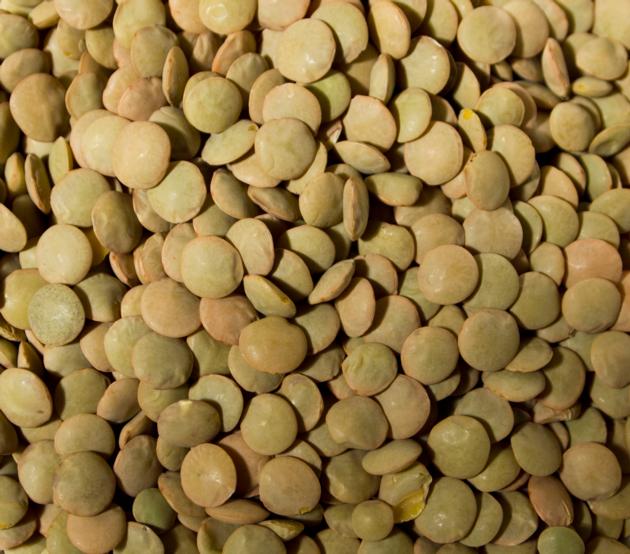 GREEN LENTILS