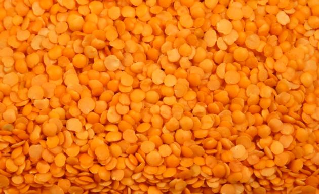 RED LENTILS