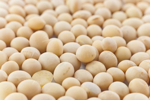 SOYA BEANS