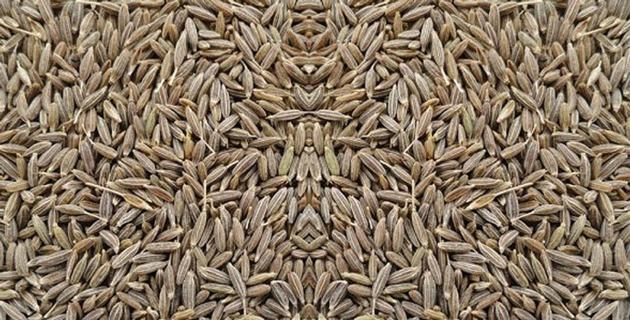 CUMIN SEEDS