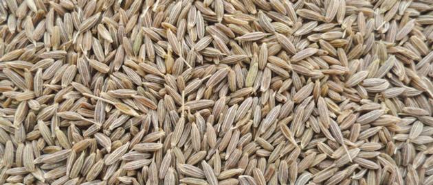 CUMIN SEEDS