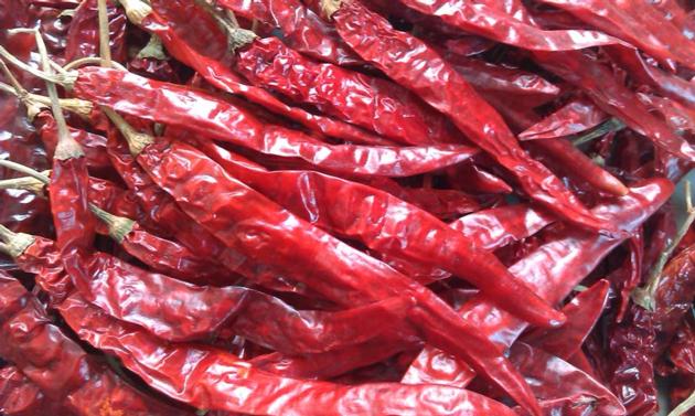 DRY RED CHILIES
