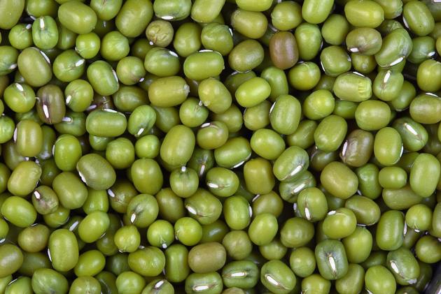 GREEN MOONG