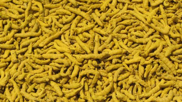 TURMERIC FINGER
