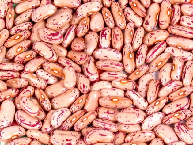 RED SPECKLED BEANS