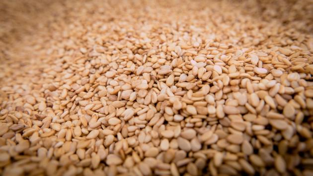 SESAME SEEDS
