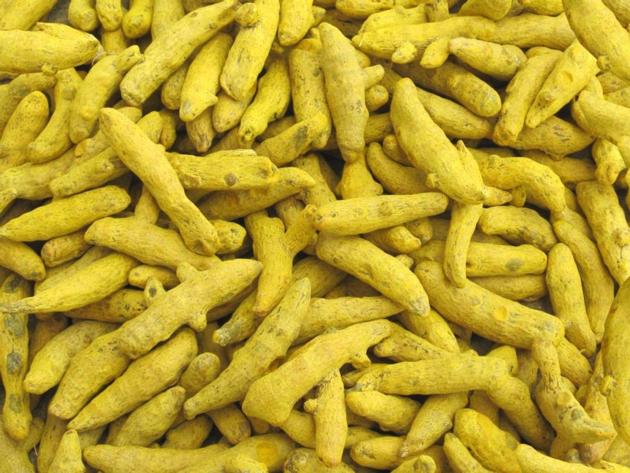 TURMERIC FINGER