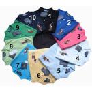 men's Ralph Lauren polo shirt with multi-color big pony