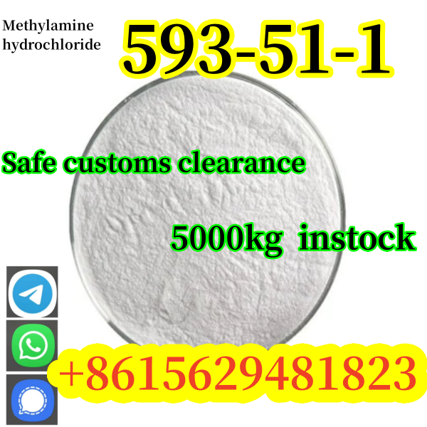 Factory price CAS 593-51-1 Methylamine hydrochloride  Safe customs clearance