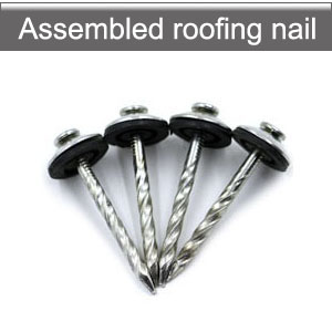Assembled Roofing nails  