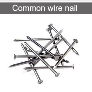 Common Iron Wire nails