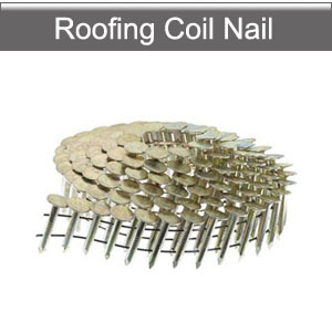 Roofing Coil nails  