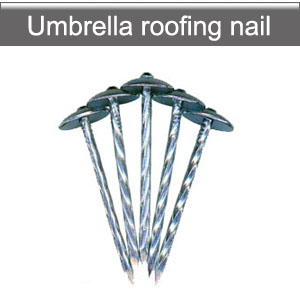 Umbrella head roofing nails